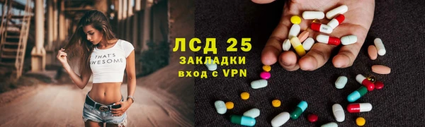 прущие грибы Аркадак
