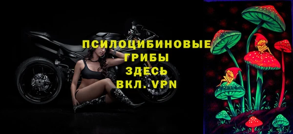 прущие грибы Аркадак