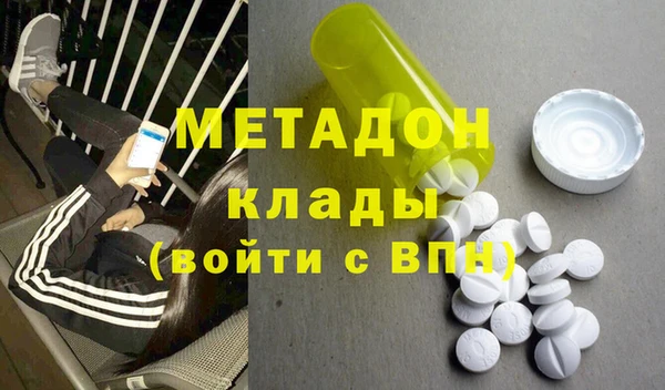 прущие грибы Аркадак