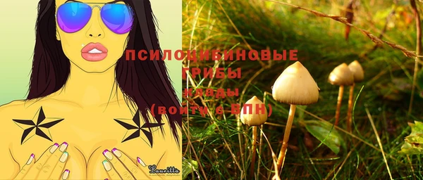 прущие грибы Аркадак
