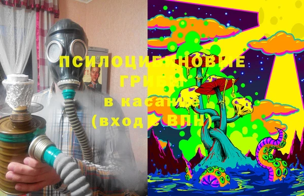 тгк Армянск