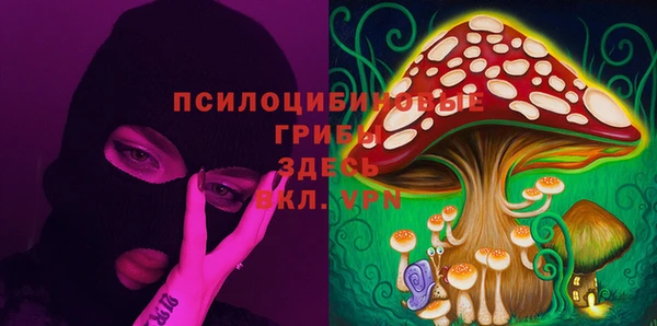тгк Армянск