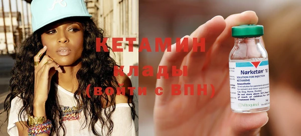 прущие грибы Аркадак