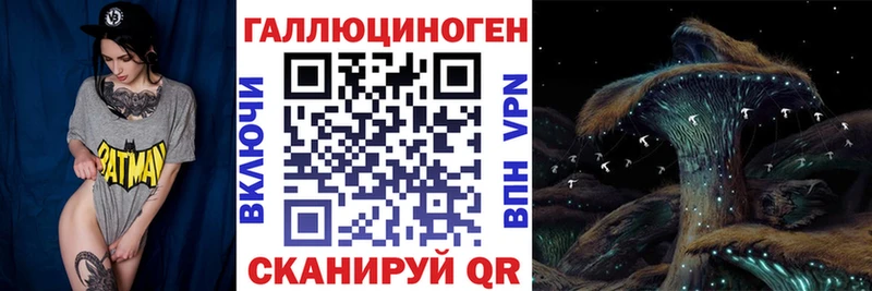 Псилоцибиновые грибы Magic Shrooms  цена   Дорогобуж 