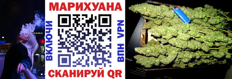 цены   Дорогобуж  Конопля сатива 